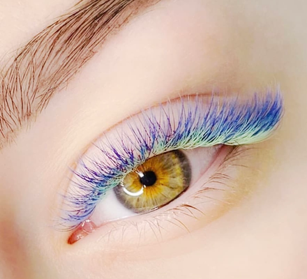 Lashes-Wimpernverlängerung Grundlagen