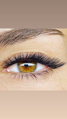 Lashes-Wimpernverlängerung Grundlagen