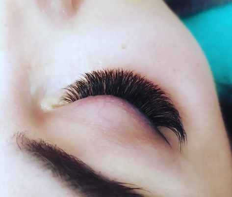 Lashes-Wimpernverlängerung Grundlagen